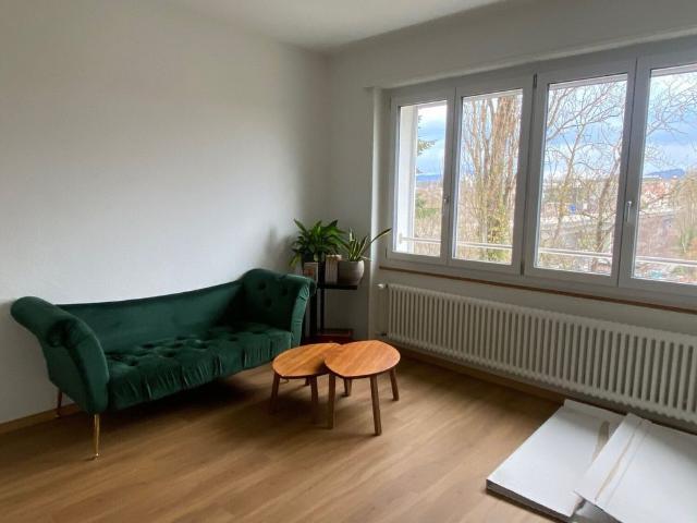 4 ROOM APARTMENT IN BERN SULGENAU, FURNISHED, TEMPORARY