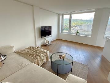 4½ room apartment in Dietikon ZH, furnished, temporary