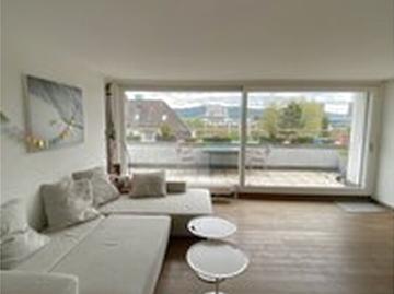 4½ room apartment in Zürich Kreis 10 Wipkingen, furnished, temporary
