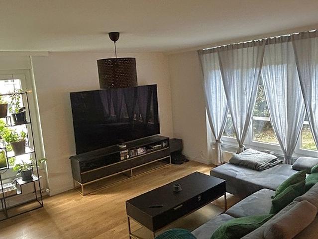 4½ room apartment in Zürich Kreis 10 Höngg, furnished, temporary
