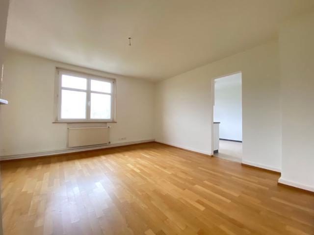 4 room apartment with views of the horse farm and nature