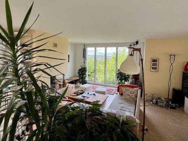 4 ROOM HOUSE IN THERWIL BL, FURNISHED, TEMPORARY