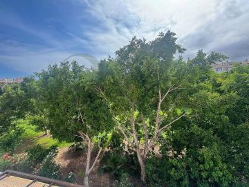 4 room luxury House for rent in Alicante, Valencia