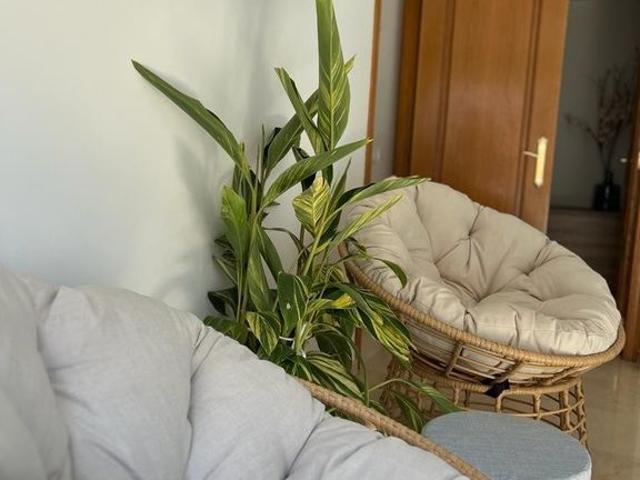4 room luxury House for rent in Valencia, Spain