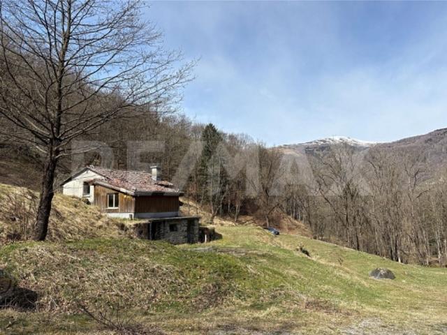 4 Room single house