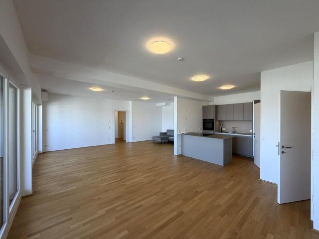 4 Schlafz. und ein grosses Wohnzimmer der gehobenen Klasse, 2 PP möglich / 4 bedr. and a large, upscale living, 2 parking optional /