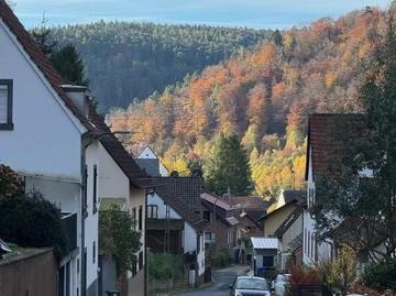 Weidenthal, Bad Dürkheim, Odenwald, Baden Württemberg, Rheinland-Pfalz