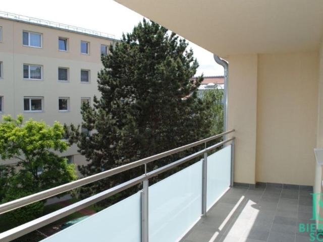 4 Schlafzimmer Wohnung Niederösterreich Niederösterreich 105335258