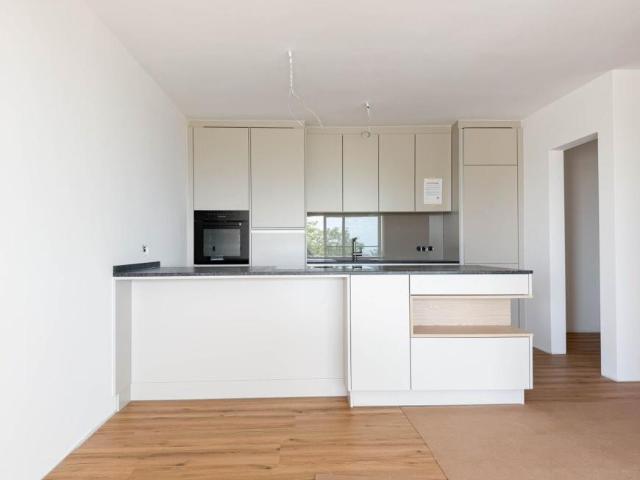 4 Schlafzimmer Wohnung Oberösterreich Oberösterreich 103615291