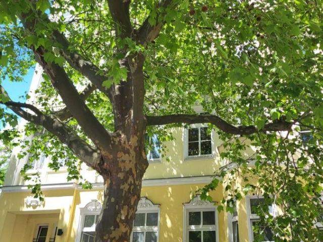 4 Schlafzimmer Wohnung Berlin Deutschland 104647223