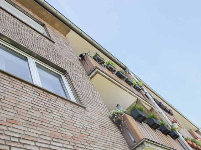 4 Schlafzimmer Wohnung Duisburg Duisburg 105452840