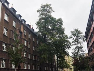 Etagenwohnung for sale in Münster-Center