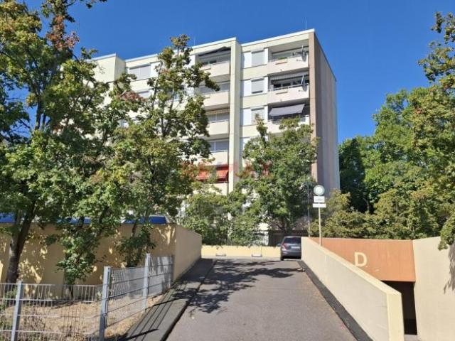 4 Schlafzimmer Wohnung Ludwigshafen Am Rhein Ludwigshafen Am Rhein 105452306