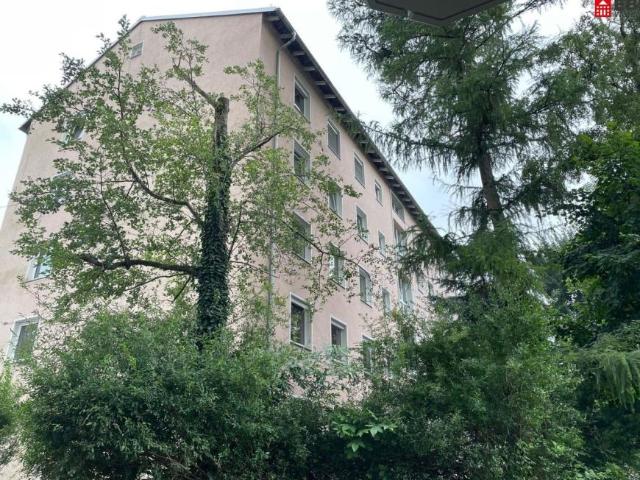 4 Schlafzimmer Wohnung Salzburg Salzburg 105055867