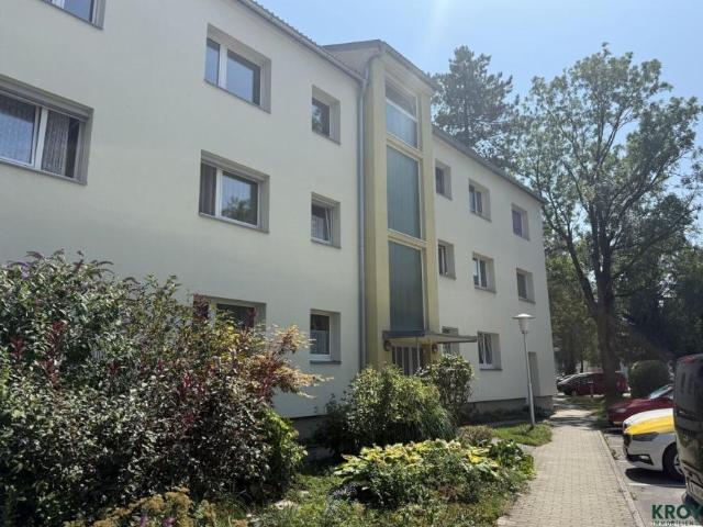 4 Schlafzimmer Wohnung Salzburg Salzburg 105075999