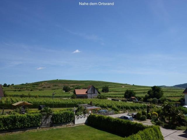4 Schlafzimmer Wohnung Vogtsburg Im Kaiserstuhl Deutschland 103341190