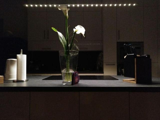 4 Schlafzimmer Wohnung Wien Wien 105121016