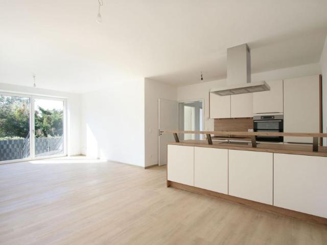4 Schlafzimmer Haus Niederösterreich Niederösterreich 105760387