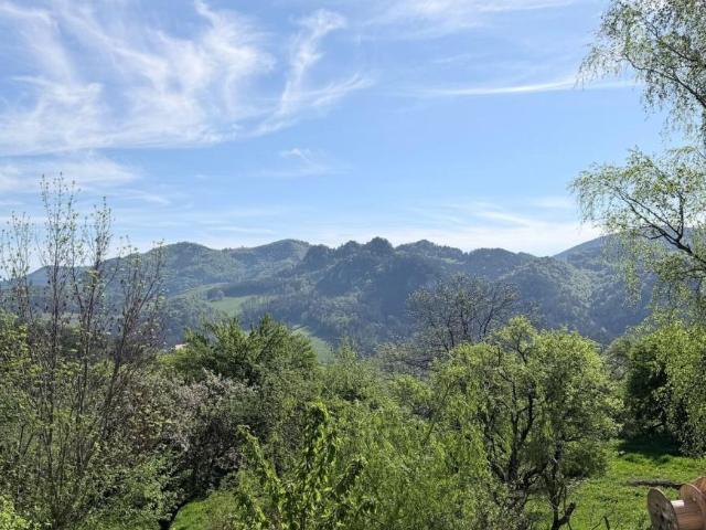 4 Schlafzimmer Haus Niederösterreich Niederösterreich 105881105