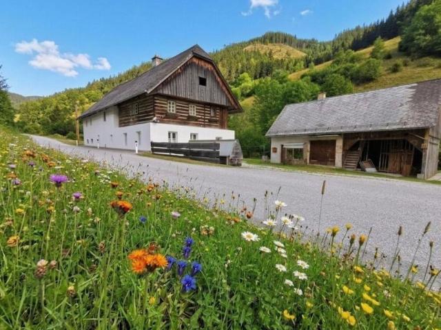 4 Schlafzimmer Haus Steiermark Steiermark 105055739