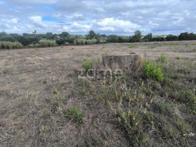 4 Terrenos Área Total de 20.778 m2 Urbanizável parcialmente