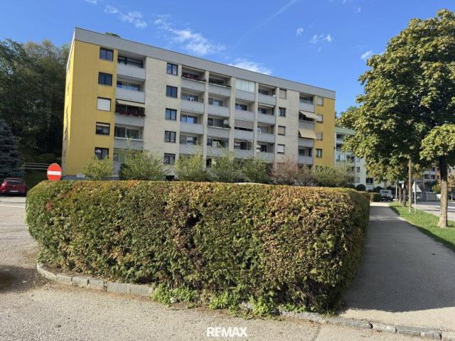 4 Zi Eckwohnung im Hochparterre