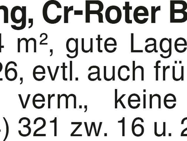 4 Zi. EG Whg, Cr Roter Buck