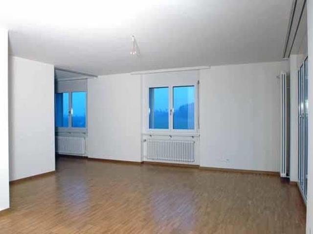 4 Zi Wohnung EG