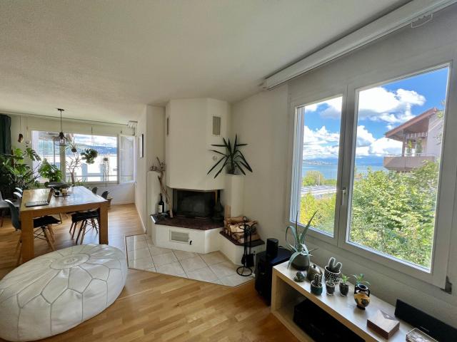 4½ ZI WOHNUNG IN WÄDENSWIL ZH, MÖBLIERT, TEMPORÄR