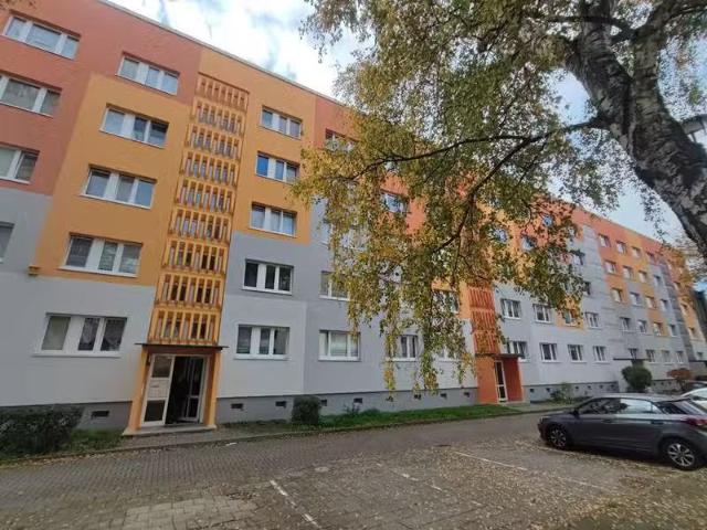 4 Zimmer 71 m² 359 € Kaltmiete Wohnungen in Sangerhausen