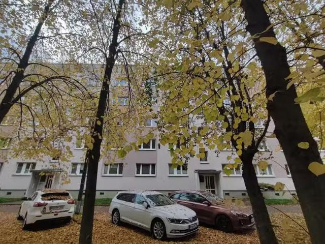 4 Zimmer 71 m² 445 € Kaltmiete Wohnungen in Sangerhausen