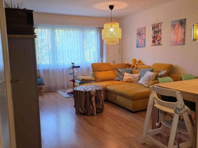4 Zimmer, 80 m², EG