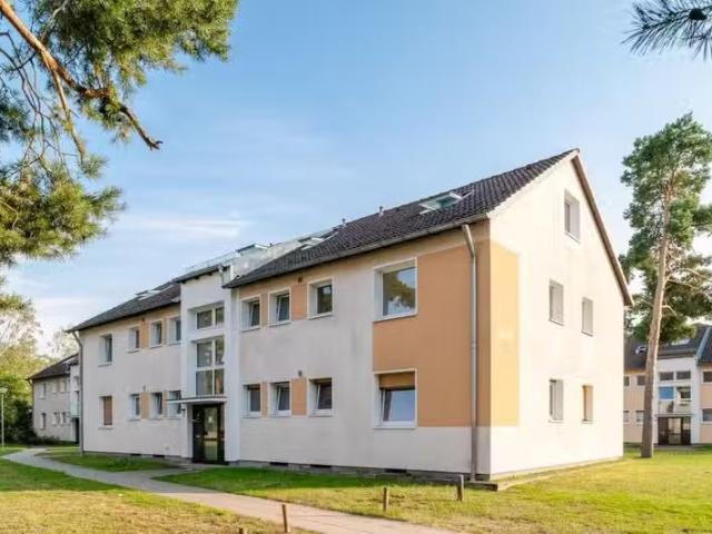 4 Zimmer 81 m² 619 € Kaltmiete Wohnungen in Celle