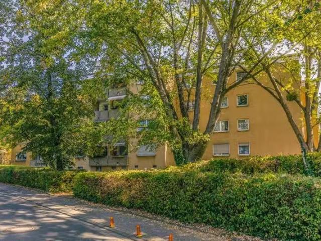4 Zimmer 90 m² 999 € Kaltmiete Wohnungen in Bensheim