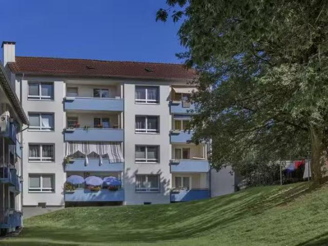 4 Zimmer 96 m² 719 € Kaltmiete Wohnungen in Detmold