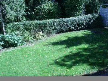4 Zimmer 130 m² 1.100 € Kaltmiete Wohnungen in Laatzen