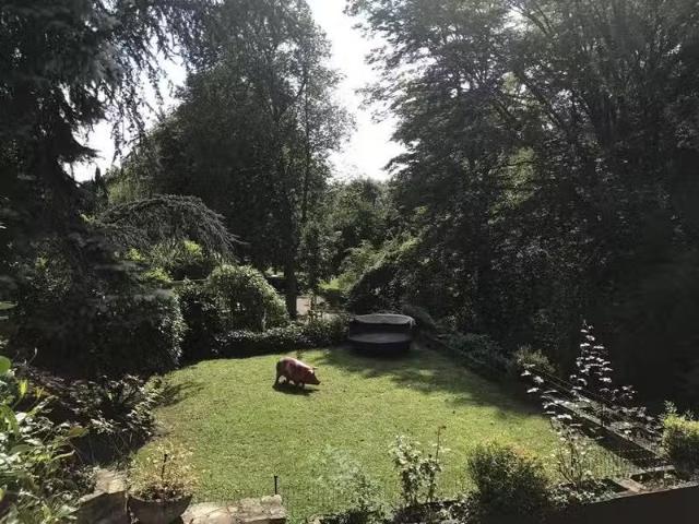 4 Zimmer 140 m² 2.100 € Kaltmiete Wohnungen in Wiesbaden