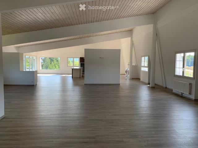4 Zimmer, 250 m²