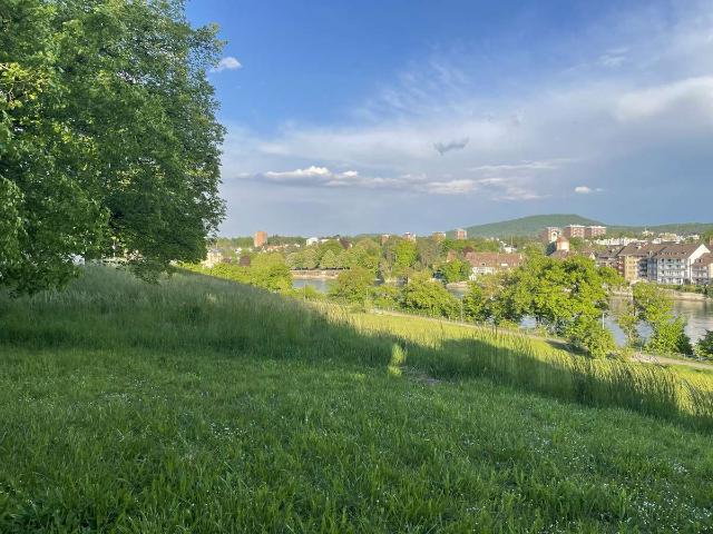 4 Zimmer Traumwohnung mit Südseiten Balkon und Rheinblick