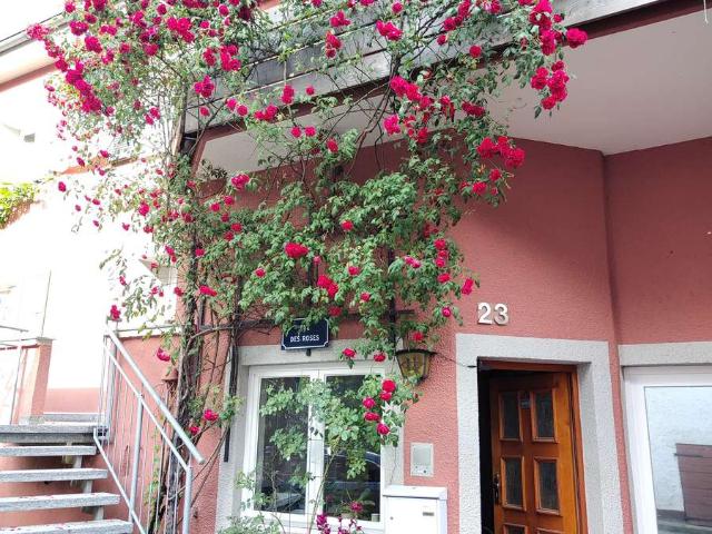4 Zimmer Wohnung mit zwei Balkonen, offenem Kamin und separatem Eingang in Müllheim Niederweiler