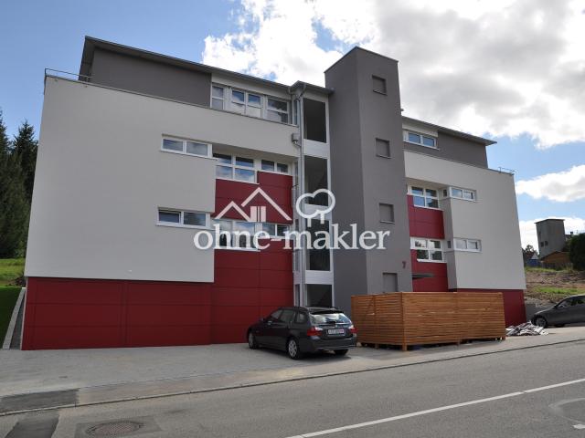 4 Zimmer Wohnung in Aldingen