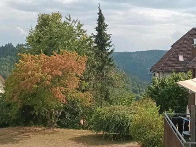 4 Zimmer Wohnung in Bad Liebenzell Monakam
