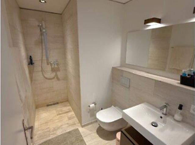 4½ Zimmer Wohnung in Dietikon ZH, möbliert, auf Zeit