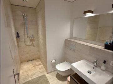 4½ Zimmer Wohnung in Dietikon ZH, möbliert, auf Zeit