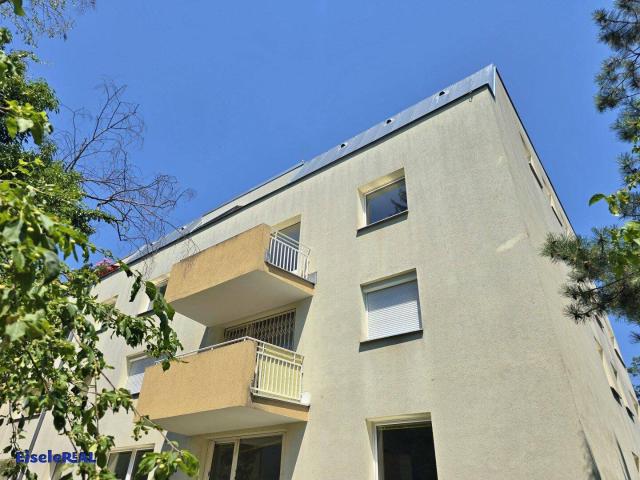 4 Zimmer Balkon Hietzing
