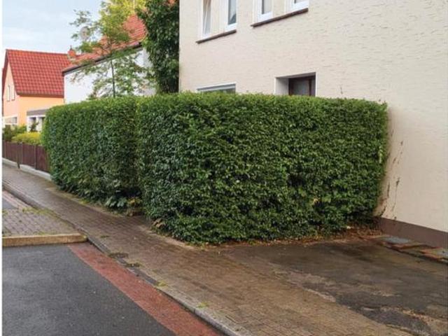 4 Zimmer Dachgeschosswohnung mit Gemeinschaftsgarten