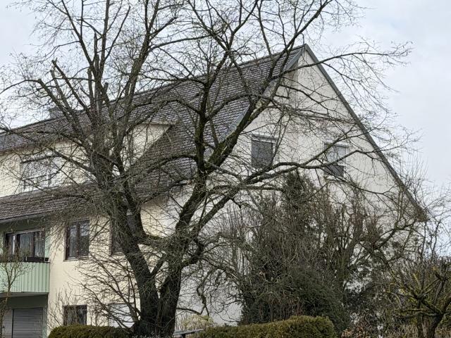 4 Zimmer Eigentumswohnung in begehrter Wohnlage WG tauglich