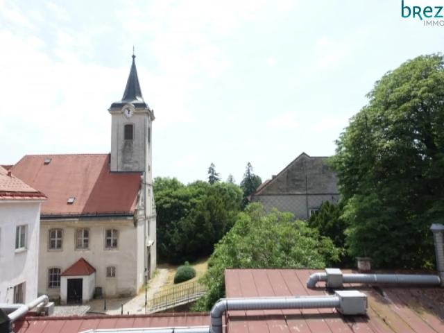4 Zimmer großzügig Wohnen im grünen Hietzing + Garagenplatz
