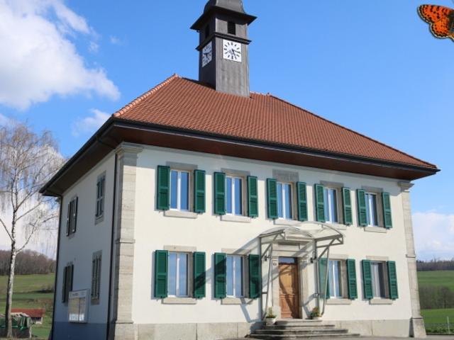 4 ½ ZIMMER – Sehr hell und mit Garten!