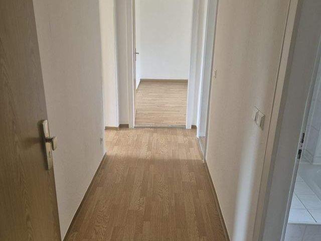4 zimmer suchen neue bewohner